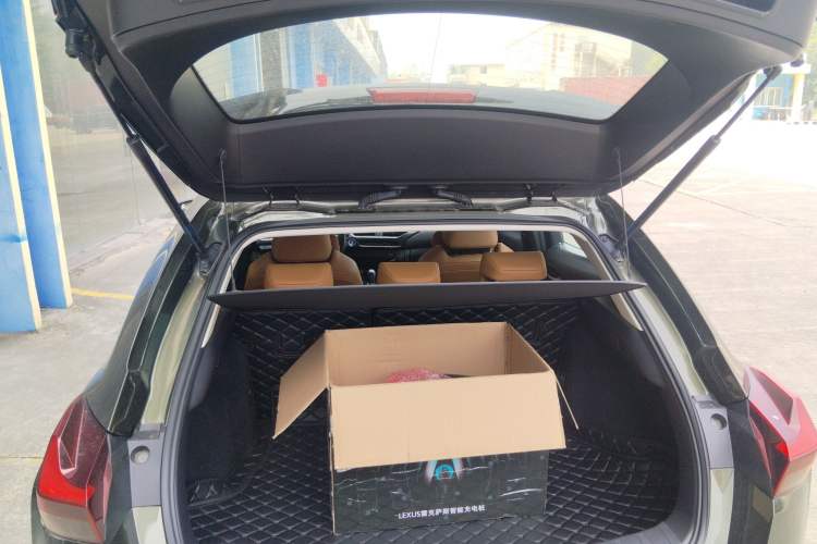 Used Lexus UX New Energy 2020 300e Pure·Enjoy Edition
