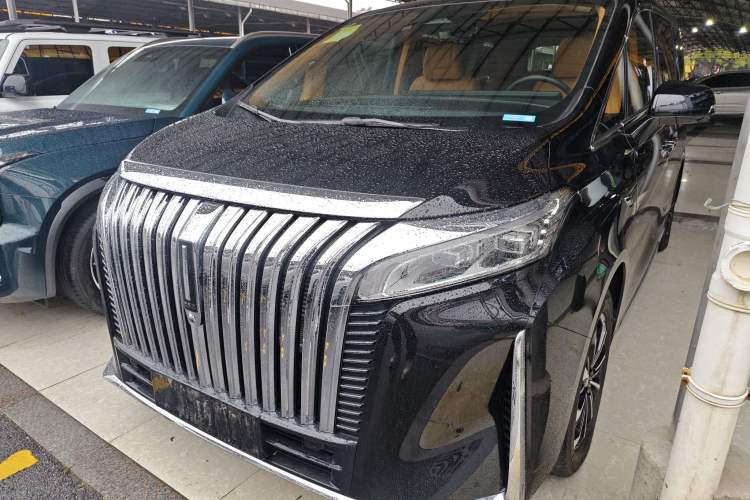 Used Wey Gaoshan 2023 Two-Wheel Drive Deluxe Edition