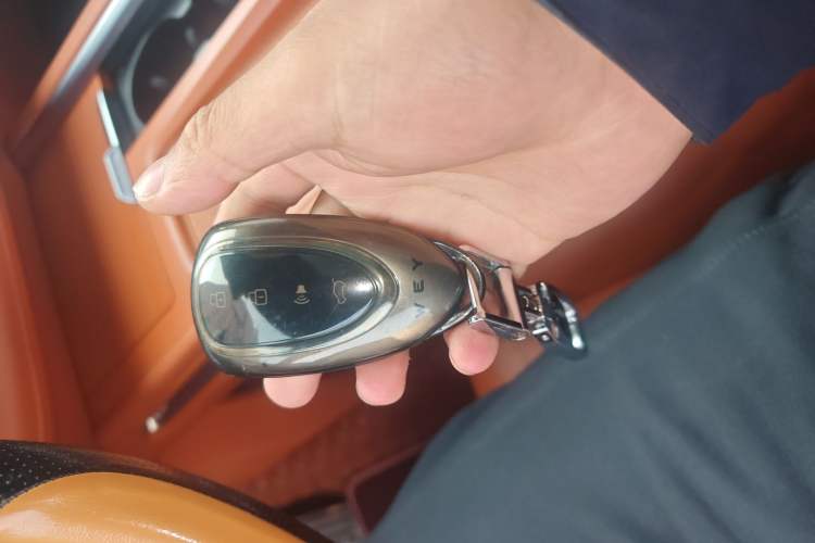 Used Wey Lanshan 2023 Four-Wheel Drive Ultra-Long Range Version
