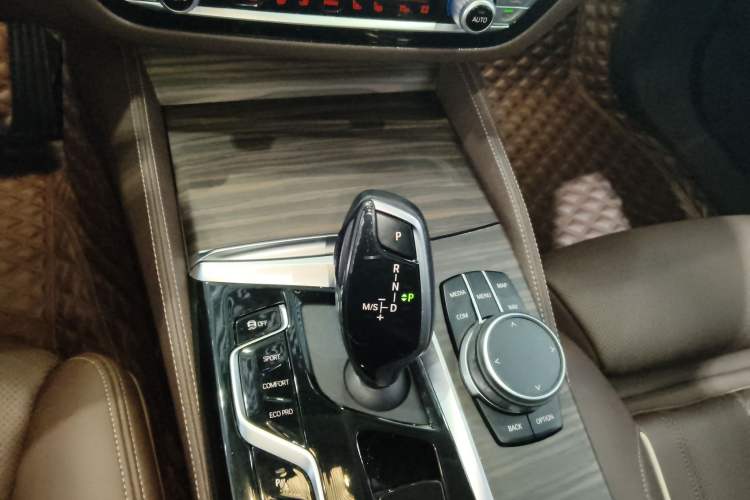 Used BMW 5 Series 2021 Updated 530Li Luxury Package Premium Edition