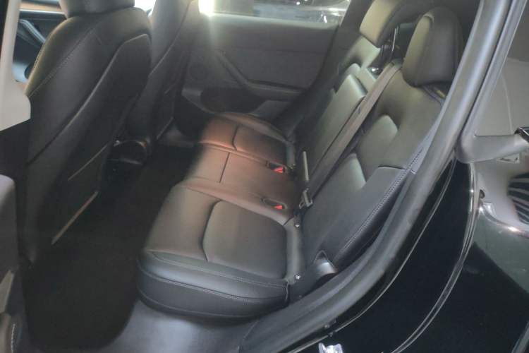 Used Tesla Model Y 2022 Revised Version Long-Range All-Wheel Drive
