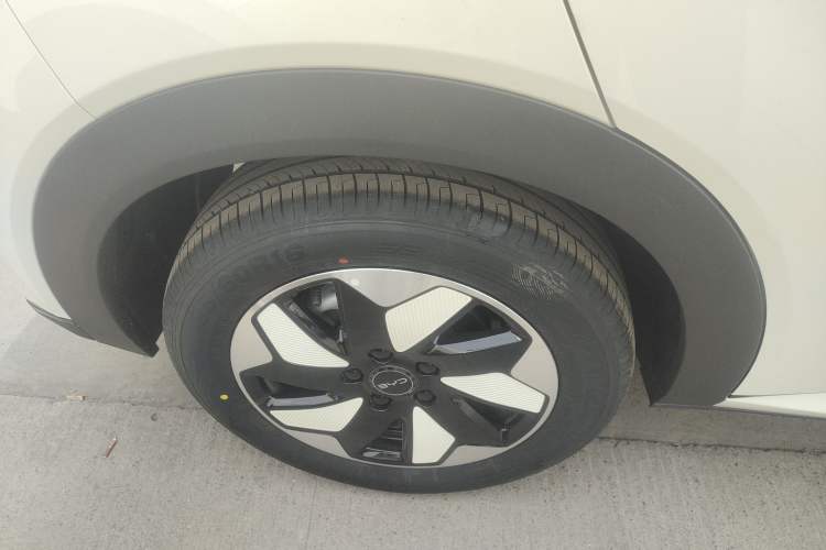 Used BYD Dolphin 2025 420km Free Edition