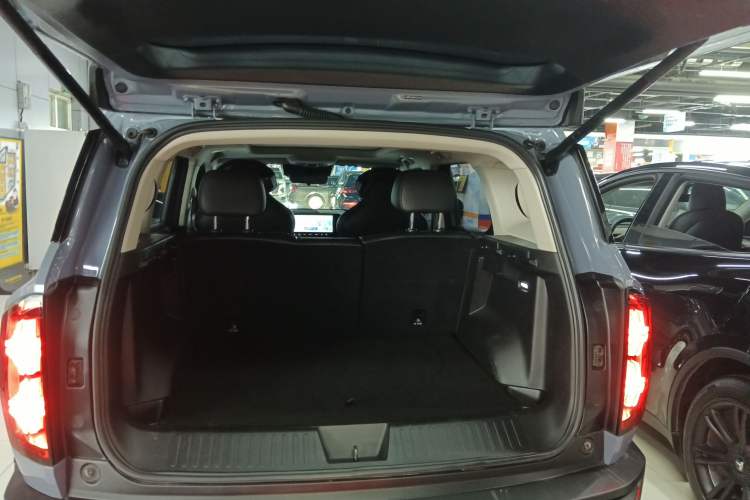 Used Haval X DOG 2022 1.5T DCT Two-Wheel Drive Trendy Edition
