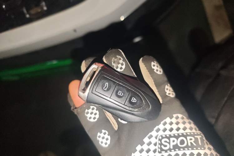 Used Leopaard CS9 2018 1.5T CVT Jingrui Model