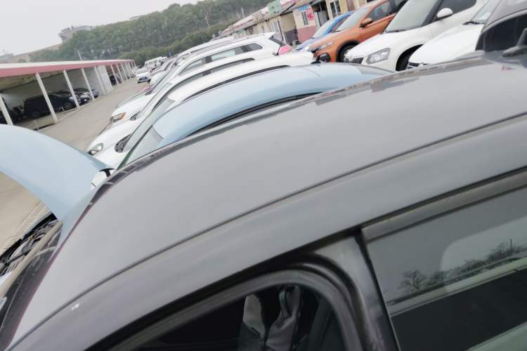 Used ORA Black Cat 2019 351 km Family Edition
