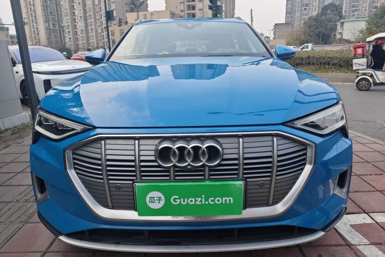 Used Audi e-tron 2019 55 quattro Global Limited Edition Edition 1
