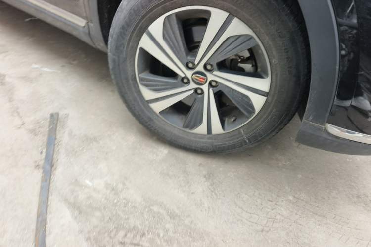 Used Hongqi HS5 2019 2.0T Smart Connect Flagship Edition
