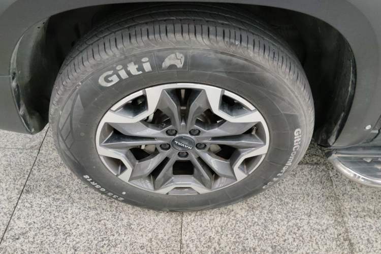 Used Haval DARGO 2024 2.0T DCT Chinese Rural Dog Edition
