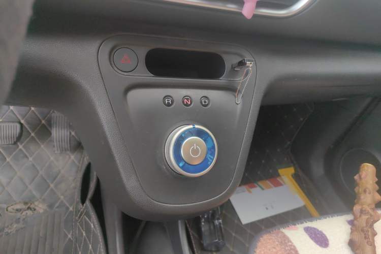 Used ORA White Cat 2020 360 km Luxury Version Gear Lever