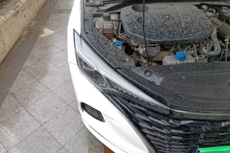 Used Changan Eado 2020 PLUS Blue Whale NE 1.4T GDI DCT Prestige Model
