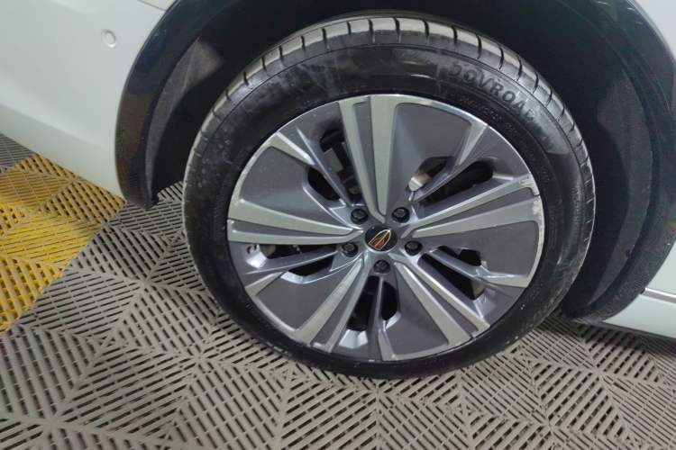 Used Hongqi E-HS9 2021 510 km Range Flagway Edition Six Seats Exterior 5