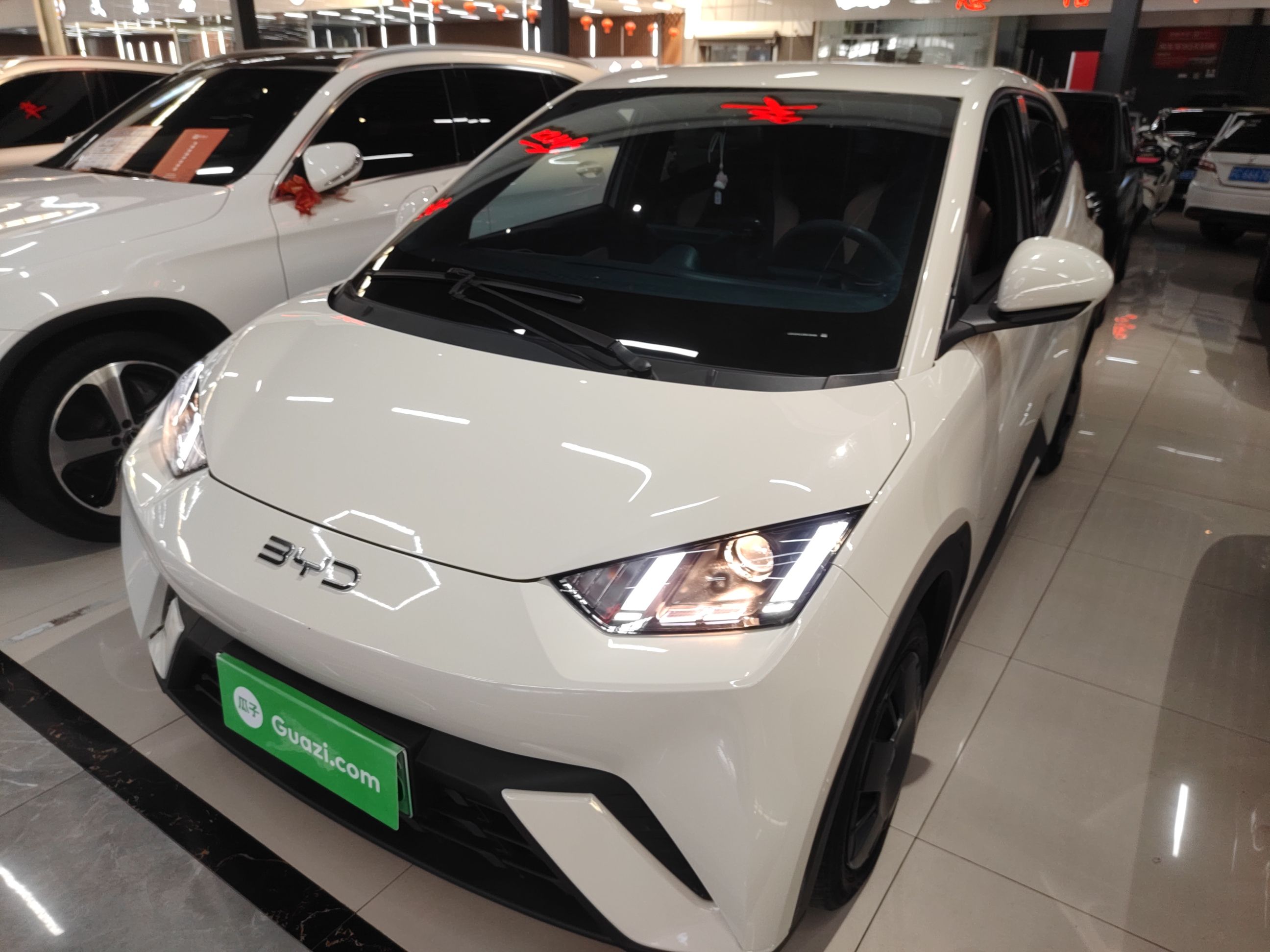 Parte inferior delantera