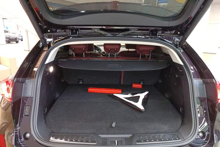 Used Wey P8 2018 2.0T Flagship Model
