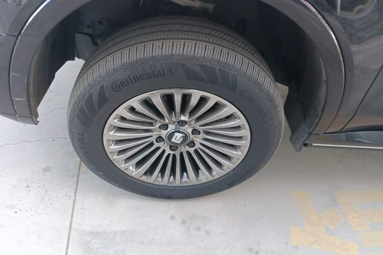 Used Tank 500 New Energy 2024 Hi4-T
