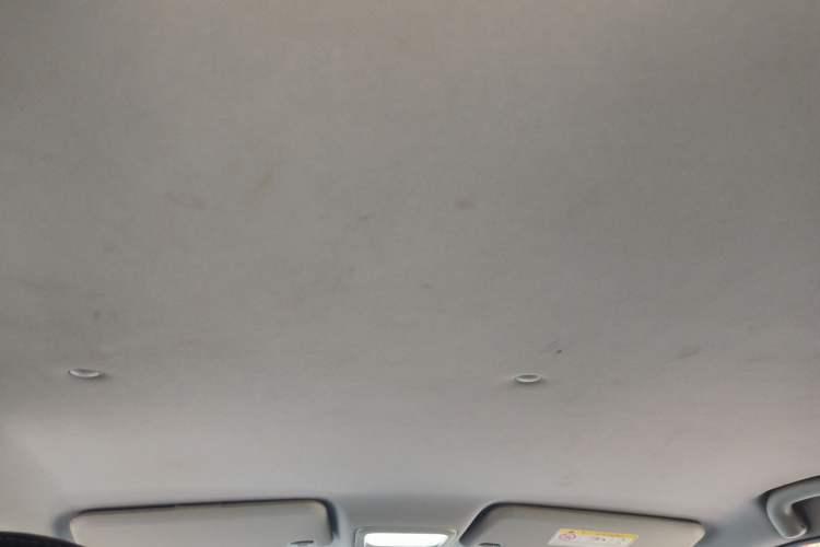 Used NETA N01 2020 430e Headliner