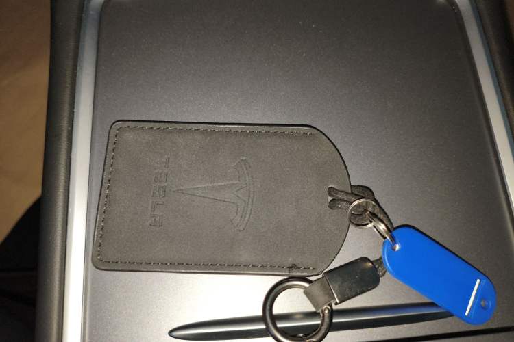 Used Tesla Model Y 2021 Standard Range Rear-Wheel Drive Version