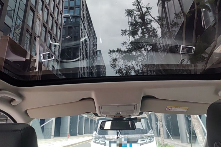 Used Land Rover Discovery Sport 2015 2.0T HSE LUXURY Headliner