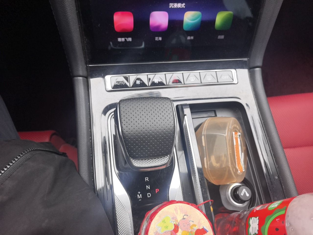 Hongqi H6 2023 2.0T ZhiShang Version — снимка 13