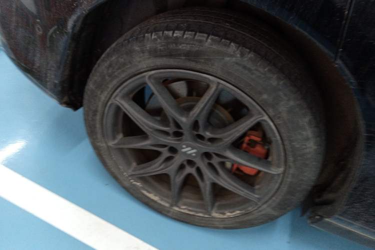 Used IM LS6 2023 Max Long-Range Version
