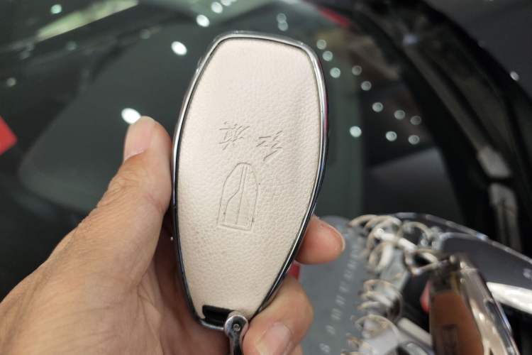 Used Hongqi HS5 2022 2.0T Smart Connect Flagship All-Wheel-Drive Version