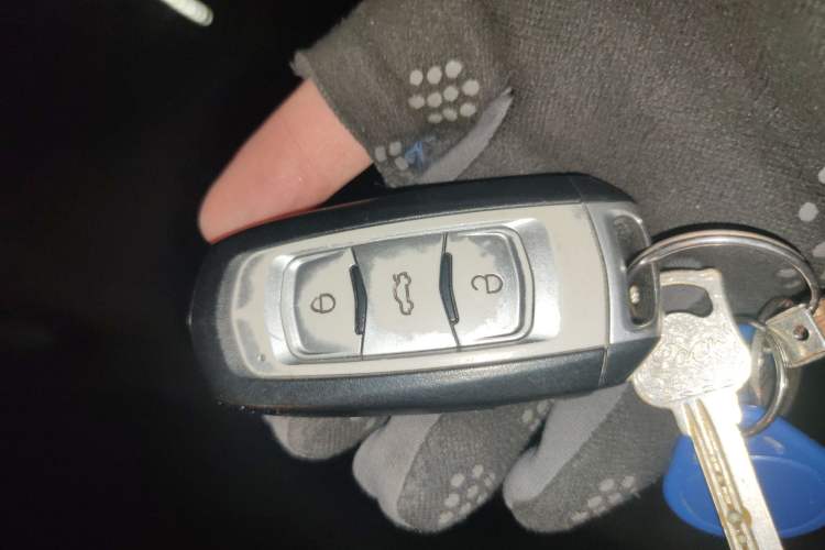 Used Geely Auto Emgrand New Energy 2017 EV300 Elite Model