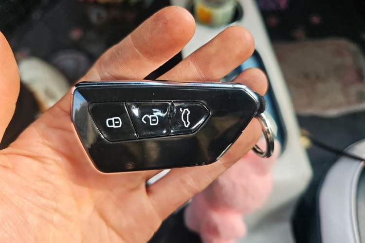 Used Geely Galaxy Panda 2023 Panda Mini 200km Endurance Bear Vehicle Key