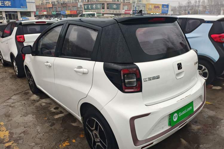 Used SOL E10X 2022 Flower Fairy Design Four-Leaf Clover Exterior 3