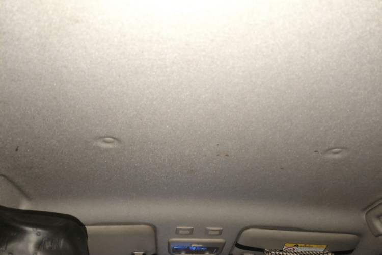 Used ORA Black Cat 2021 301 km Basic Version