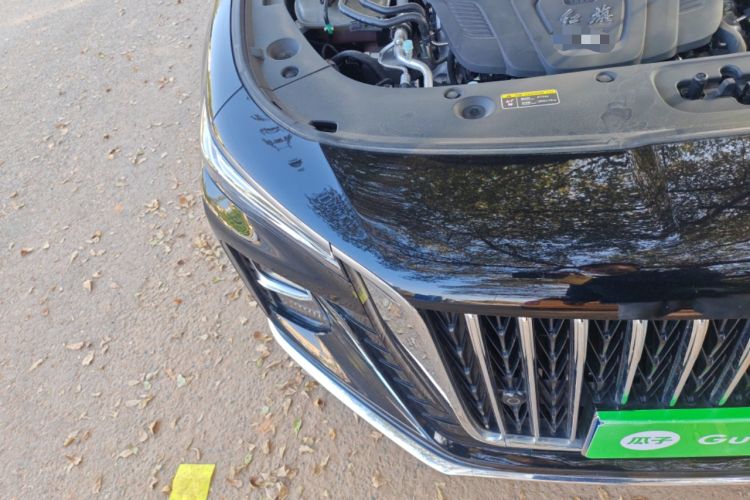 Used Hongqi H5 2025 2.0T Automatic Flag Edition – 500 000 Units Commemorative Version
