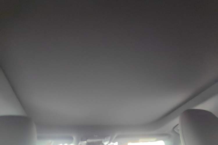 Used Lexus RX New Energy 2023 450h+ Four-Wheel Drive Enjoyment Edition Headliner