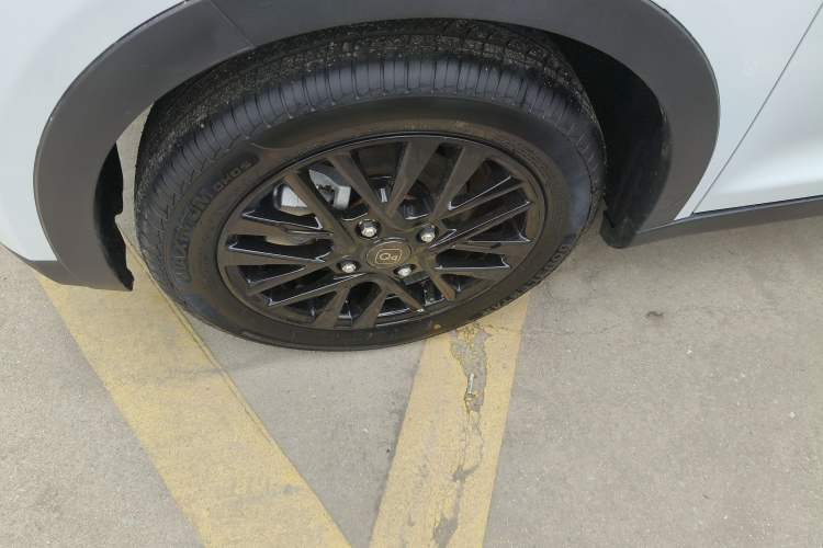 Used Chery Little Ant 2026 Model 271km True Love Version
