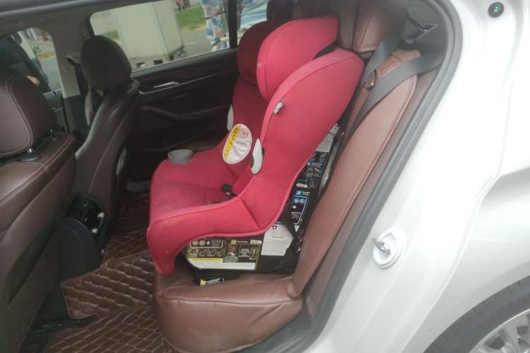 Used BMW 5 Series New Energy 2019 530Le Luxury Package
