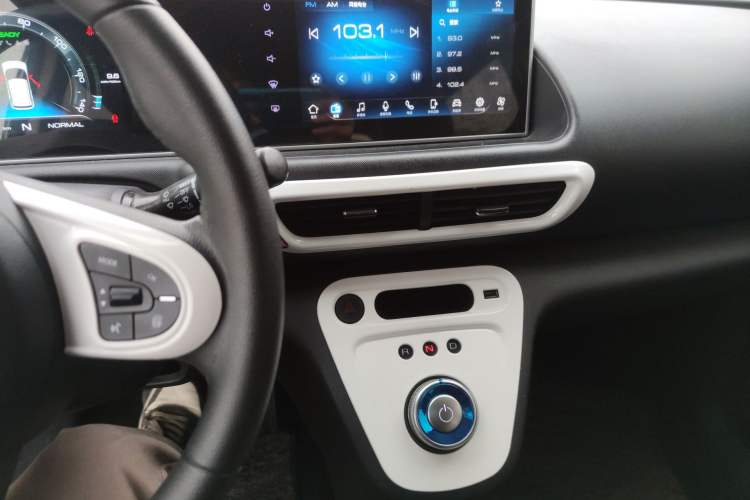 Used ORA White Cat 2020 305 km Luxury Version
