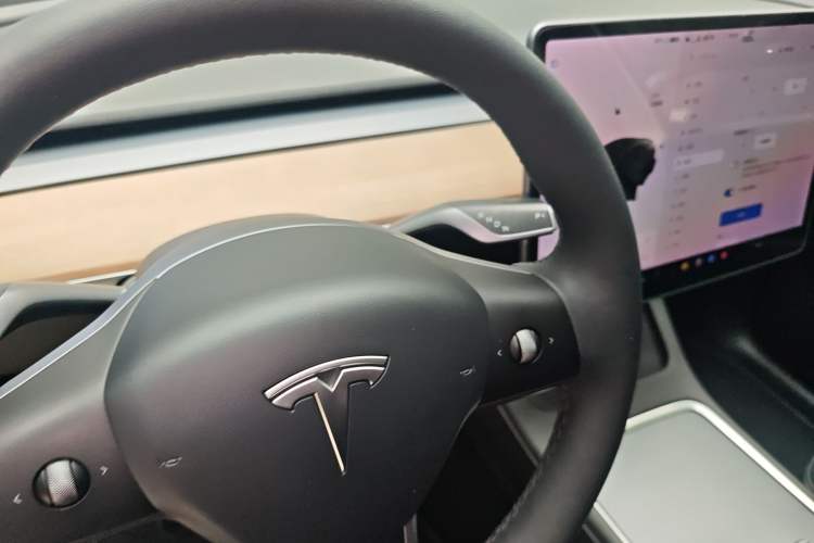 Used Tesla Model Y 2021 Standard Range Rear-Wheel Drive Version