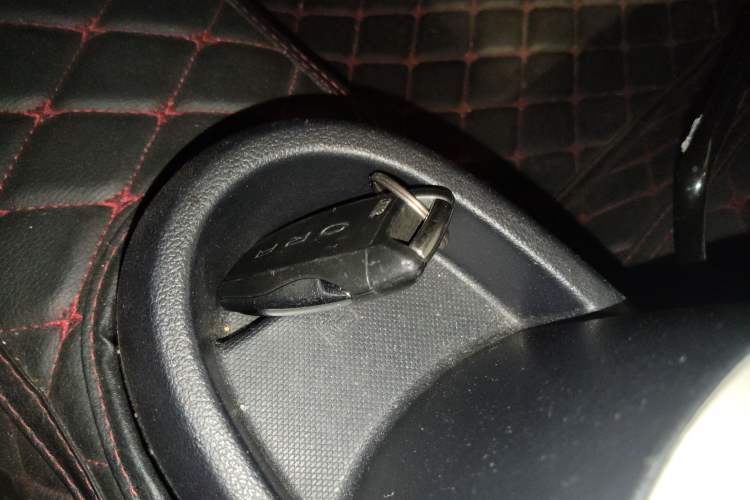 Used ORA Black Cat 2021 351 km Luxury Version
