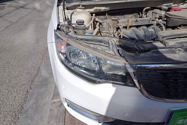 Used Kia Forte 2014 1.6L MT GL