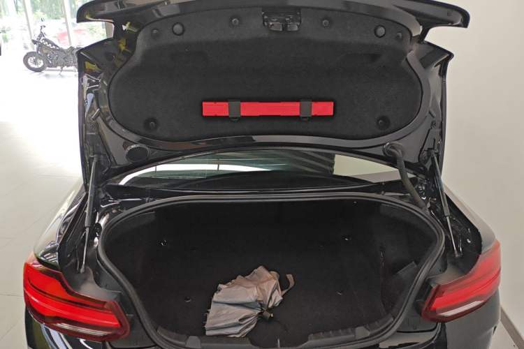 Used BMW M2 2018 M2 Thunder Edition
