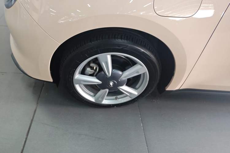 Used ORA Good Cat 2022 Morandi Edition 400km Standard Range Premium Version Lithium-Ion Battery
