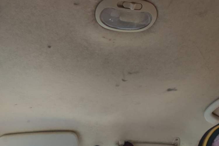 Used Lifan Auto 330 2014 1.3L Manual Standard Edition Headliner