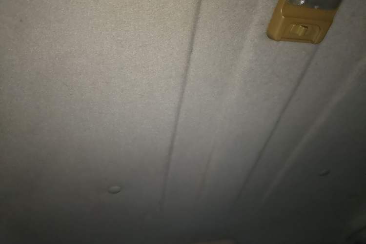 Used Foday Explorer Ⅲ 2014 2.0T Manual Diesel Version Headliner