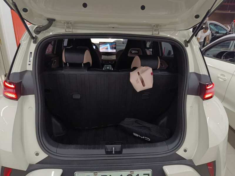 Used BYD Seagull 2023 Free Edition — 18