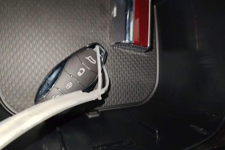 Used Hongqi HQ9 2023 2.0T Smart Connect Flagship Edition