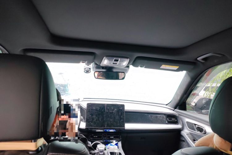 Used GAC Trumpchi GS8 2024 Dual-Motor Series 2.0TM Two-Wheel Drive Premium Edition
