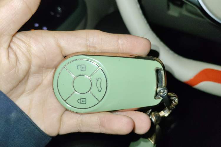 Used ORA Good Cat 2023 401 km Standard Range Premium Version Lithium Iron Phosphate