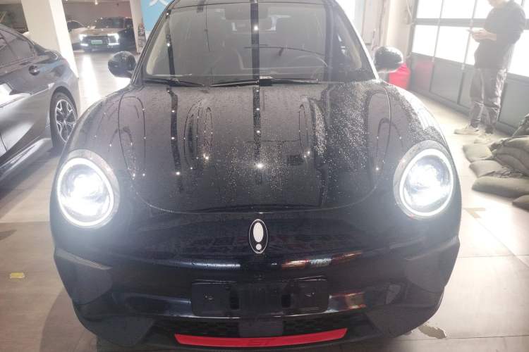 Used ORA Good Cat GT 2024 Mulan Edition 401km Luxury Version Front