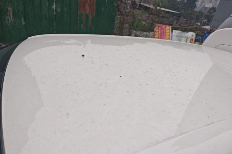 Used Dongfeng NAMMI 01 2025 330KM Youth Edition
