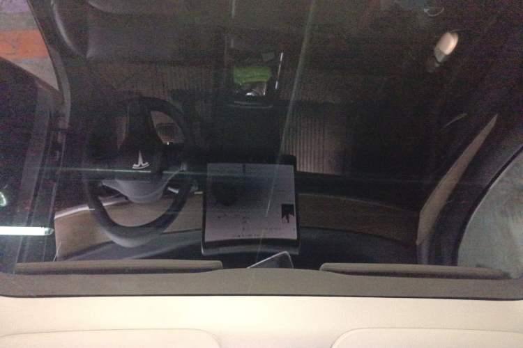 Used Tesla Model Y 2022 Rear-Wheel-Drive Version
