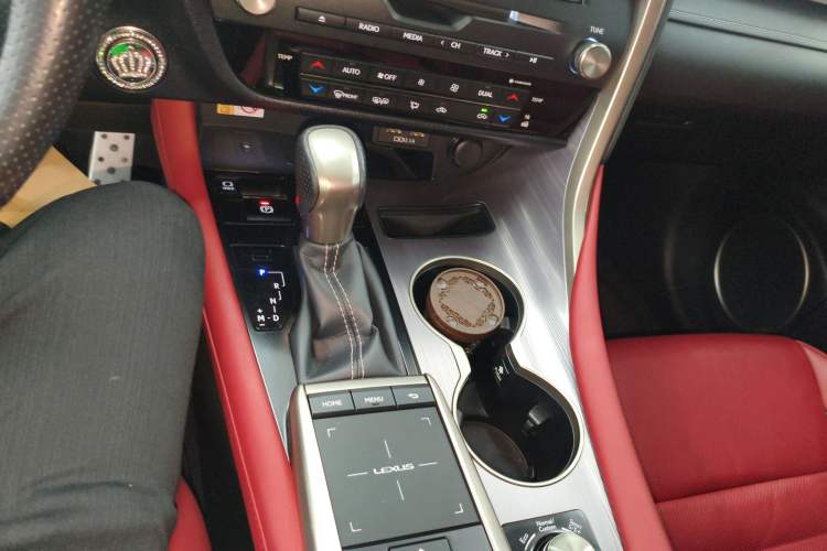 Used Lexus RX 2020 300 4x4 F SPORT China VI
