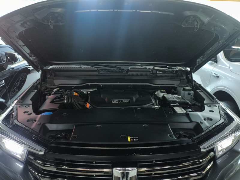 Used Tank 400 New Energy 2024 Hi4-T Off-Road Edition — 19