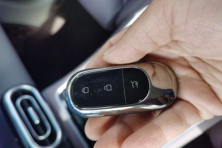 Used Leapmotor C11 2023 Pure Electric 500 Comfort Edition
